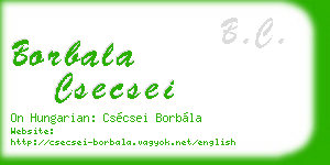 borbala csecsei business card